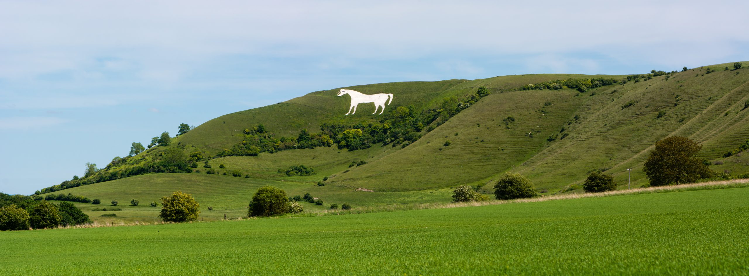 White Horse, Westbury, Wiltshire